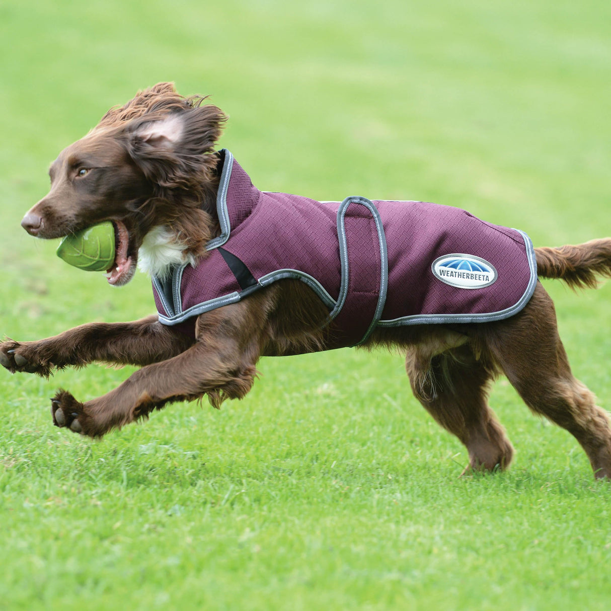 WeatherBeeta ComFiTec Premier Free Parka Deluxe Dog Coat Medium, Maroon/Grey/White, 28"