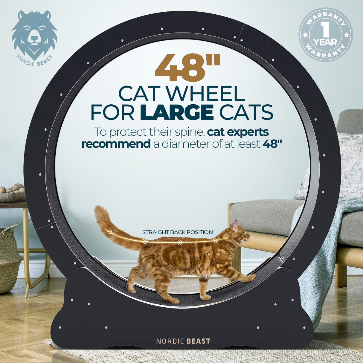 Nordic Beast 48'' XL Cat Wheel β Safe, Quiet & Stable Exercise Wheel for Large Indoor Cats up to 45 lbs β 15.7'' Extra-Wide Surface Fits 2 Cats Side by Side & Prevents Wobbling, 1-Year Warranty