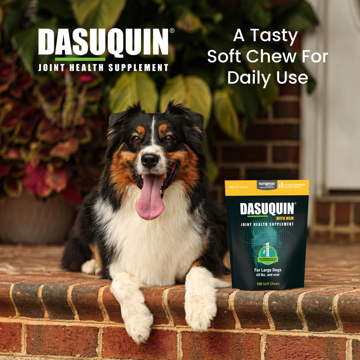 Nutramax Dasuquin for Large Dogs, Joint Health Supplement, Contains Glucosamine for Dogs, Plus Chondroitin, ASU, MSM and More, Supports Healthy Joints, Soft Chews, 150 Count