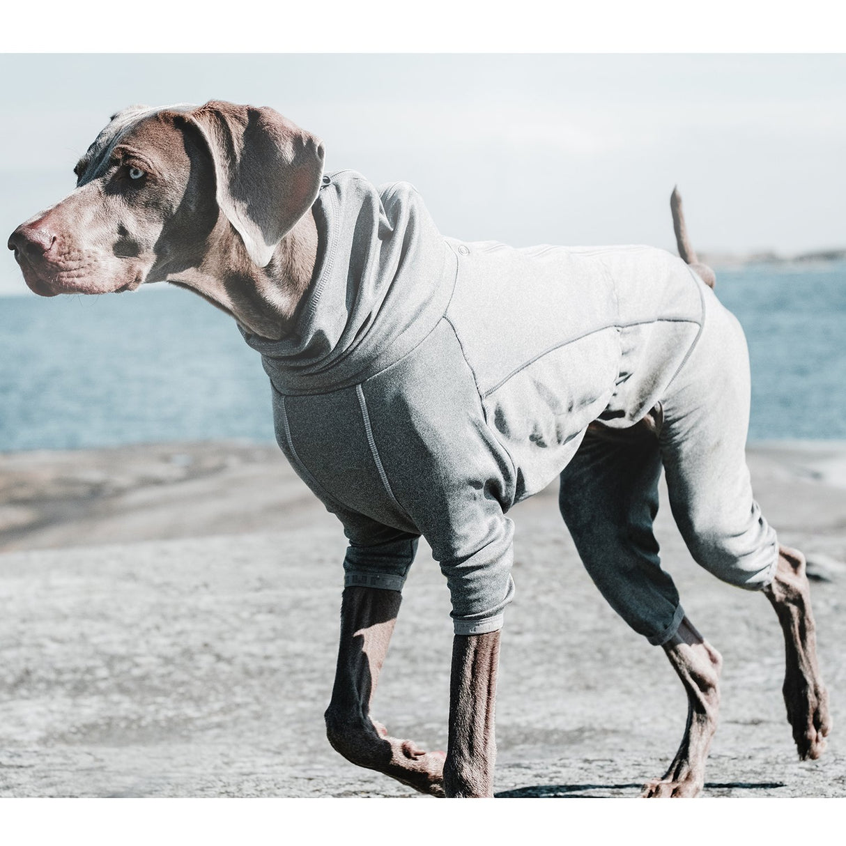 Hurtta Body Warmer Dog Body Suit, Recovery Suit, Carbon Grey, 10M