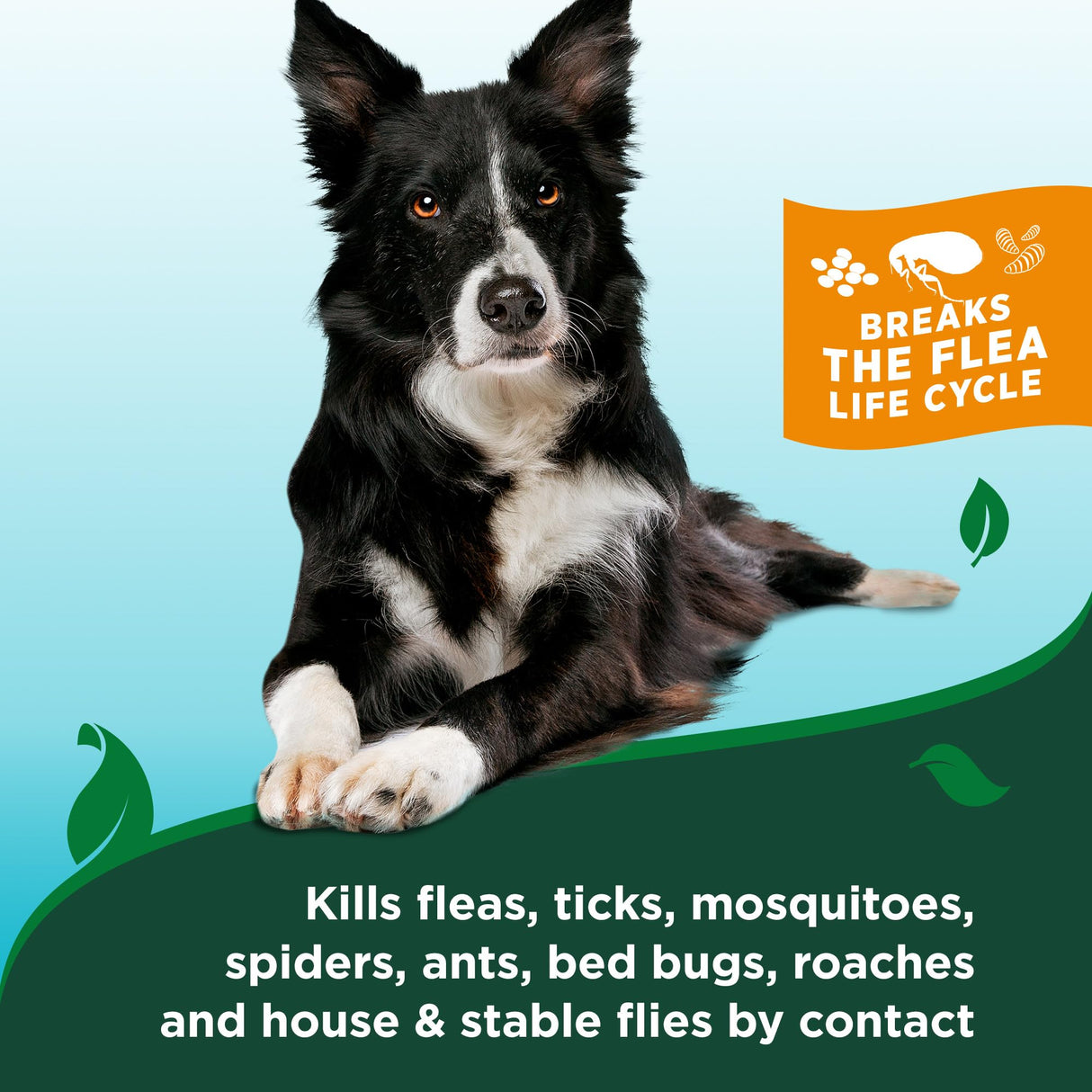 Vet's Best Natural Flea & Tick Dog Shampoo – Plant-Based Formula with Cotton Spice Scent – Natural Dog Shampoo with Essential Oils for Flea and Tick Support – Made in USA – 12 oz Bottle