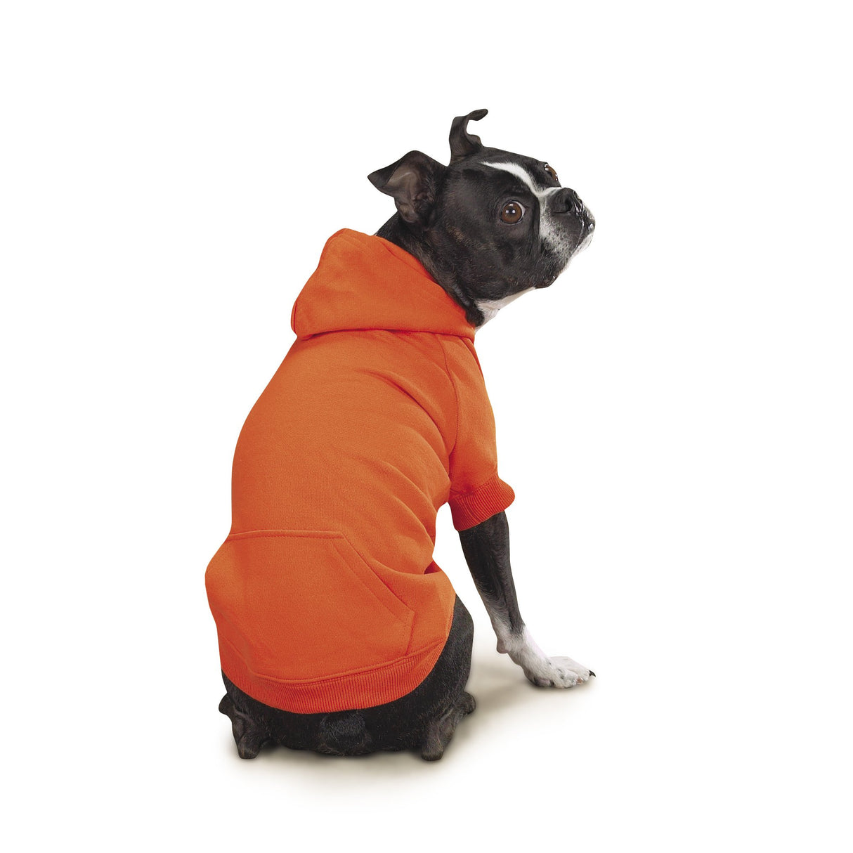 Zack & Zoey Basic Hoodie for Dogs, 8" X-Small, Vibrant Orange