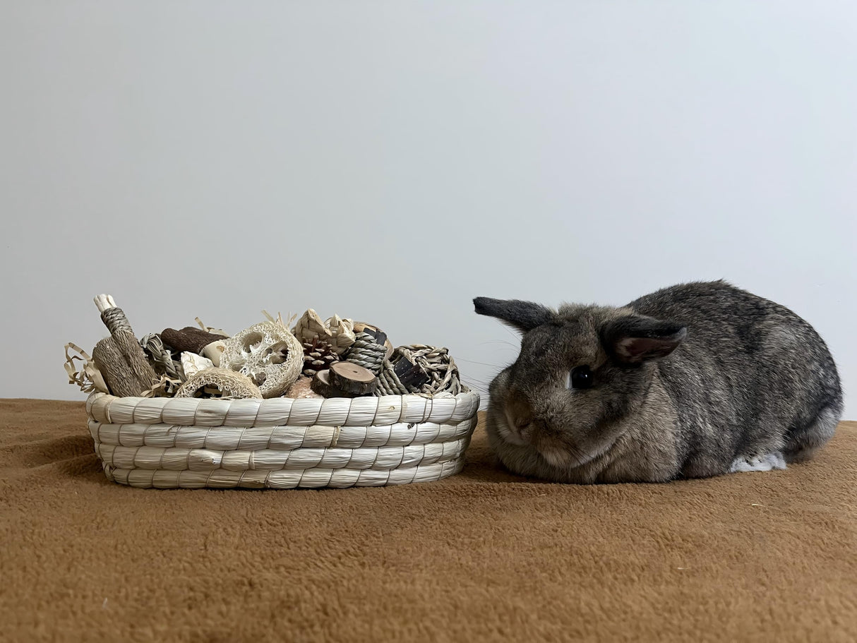 Twilumin 31PCS Rabbit Chew Treat Toys for Teeth Health, Natural Bunny Enrichment Toys for Boredom & Stress Relief, Keep Busy Toys for Guinea Pig Chinchilla Hamster Rat Gerbil Degu Indoor Outdoor