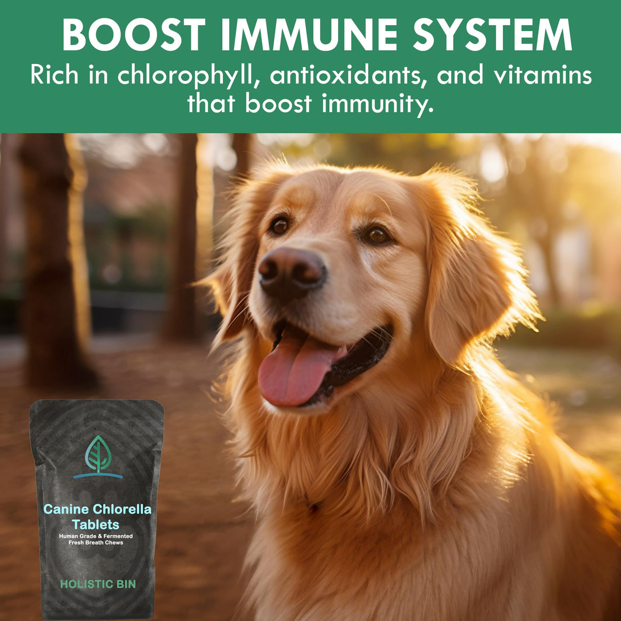 Holistic Bin Canine Fermented Chlorella Tablets | Plant-Based Supplements for Pets | Nutrient-Rich Dog Meal Toppers | Breath Freshener Treats Packed with Chlorophyll | Chlorella Tablets (100 Pieces)