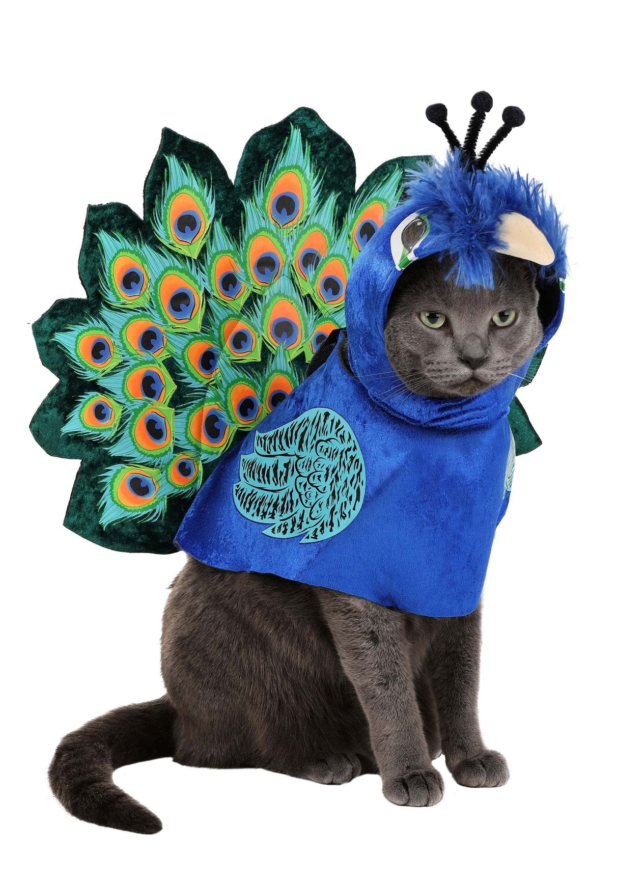 California Costumes, Pretty as a Peacock Pet Costume Large