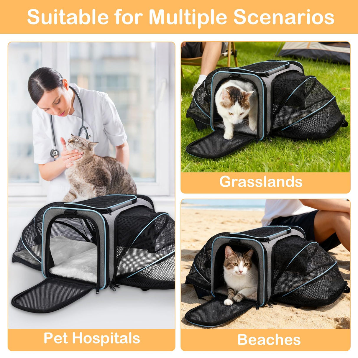 VeluXanipyr Expandable Airline Approved Pet Carrier, Soft-Sided Travel Bag for Small Cats Dogs with Hard Shell Base, Removable Fleece Pad, Ventilated Mesh, Gray (Blue Trim)