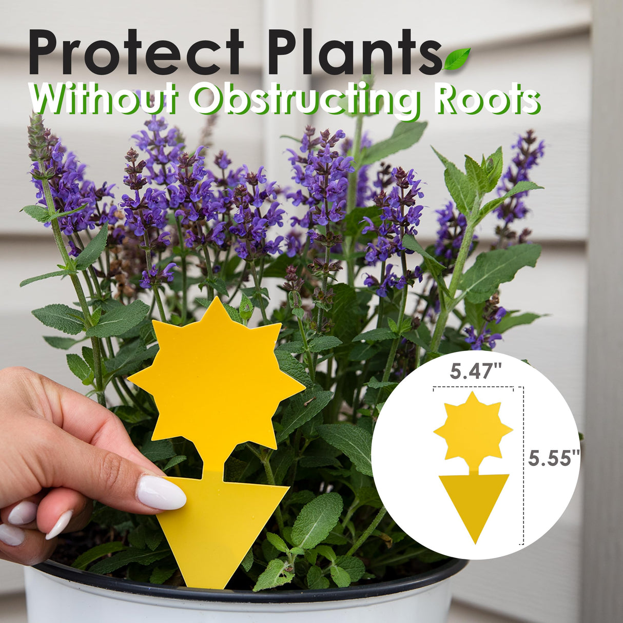 Classy Casita Yellow Sticky Traps - Fungus Gnat Trap, Houseplant Fly Control, Indoor and Outdoor Plant Insect Stakes, Potted Plants Mosquito Pest Bugs Catcher, Gifts for Plant Lovers - 24-Pack