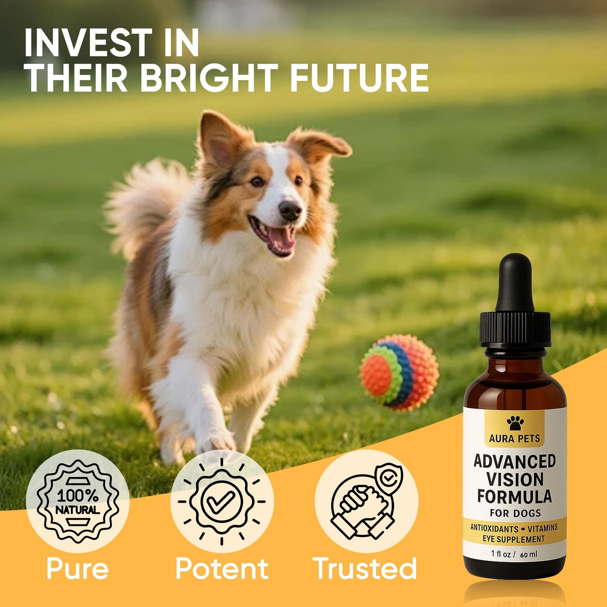Aura Pets Advanced Vision Formula for Dogs, with Zeaxanthin, Astaxanthin, Lutein, Supports Vision and Overall Eye Health, Clears Debris, Reduces Cloudiness, 30ml (1)