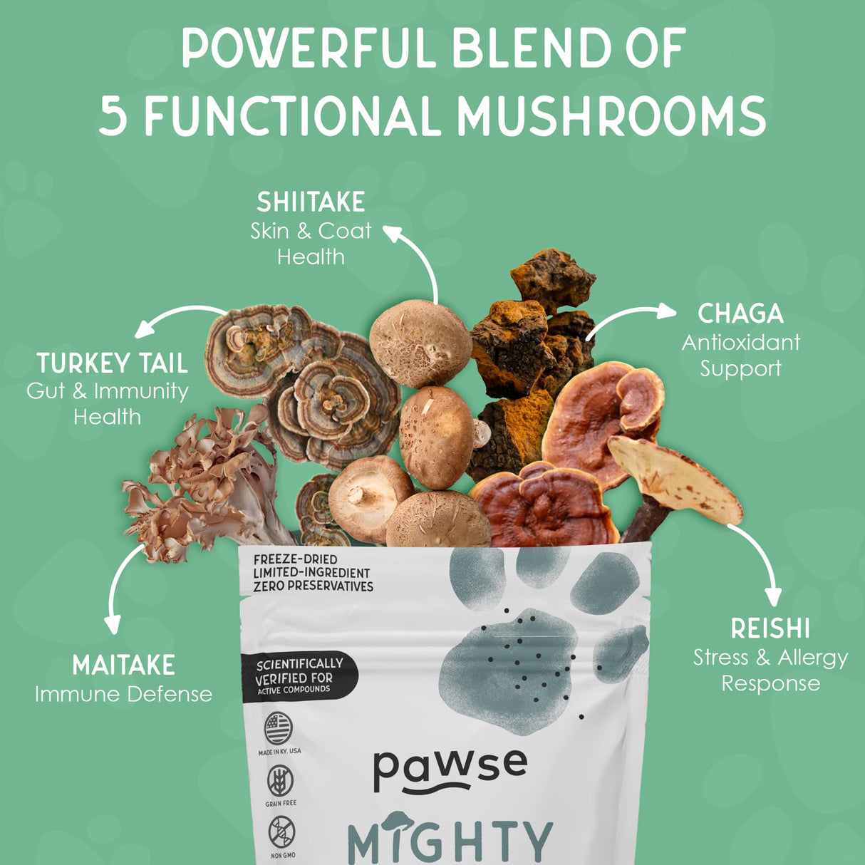 Pawse Mighty Mushroom Chews Supplement for Dogs & Cats | Blend of Turkey Tail, Reishi, Chaga, Maitake & Shiitake | for Immune System, Lumps & Bumps, Gut Health & Skin Support | 60 Chews