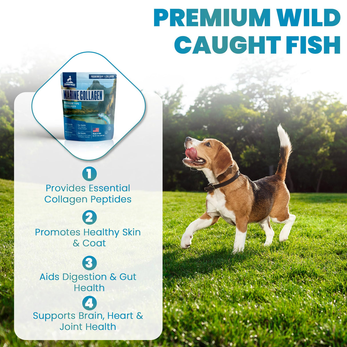 Wild Caught Marine Pet Collagen for Dogs, Peptide for Dogs - Improves Gut, Skin & Coat Health, Allergies, Pet Mobility Hip & Joint Supplement Health