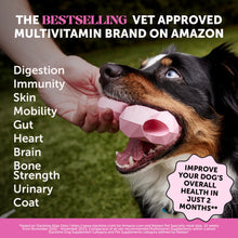 Load image into Gallery viewer, Multivitamin Dog Supplement, Glucosamine Chondroitin for Dogs, Probiotics, Omega Fish Oil, Dog Supplements & Vitamins, Vitamins for Skin and Coat Allergies (Chicken 90 ct)