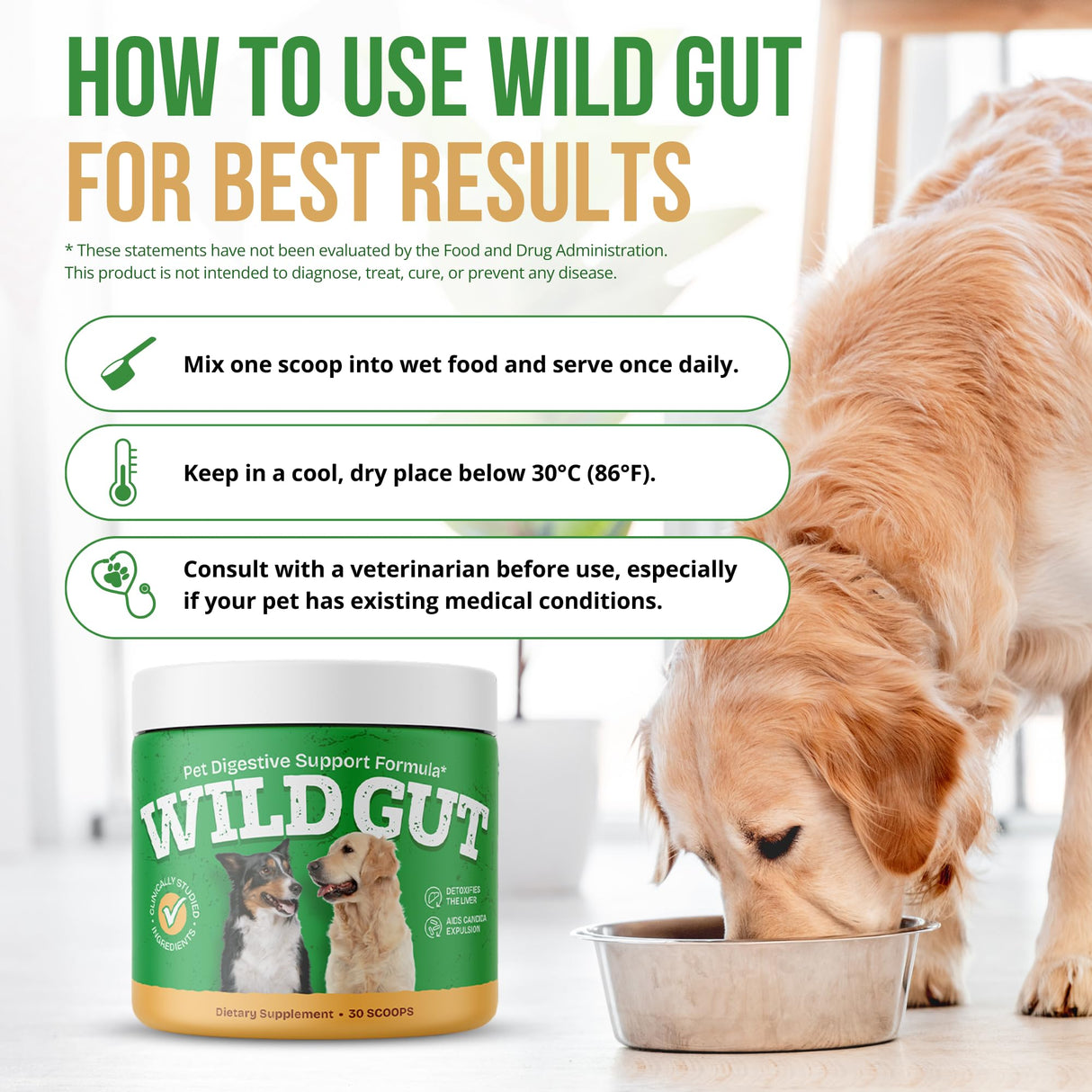 Wild Gut - Natural Probiotic Supplement for Pets | Supports Digestive Health & Gut Microbiome | 8 Probiotic Strains | 1 Bottle