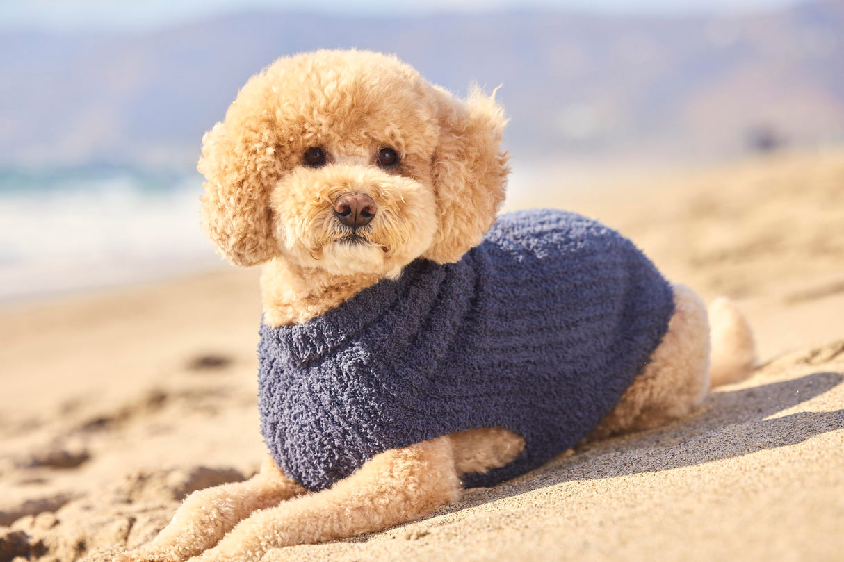 Barefoot Dreams® CozyChic® Ribbed Pet Sweater, Slate Blue, X-Small
