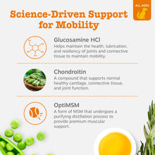 Load image into Gallery viewer, Zesty Paws Hip and Joint for Dogs, Glucosamine for Dogs Hip and Joint Supplement with Chondroitin, MSM, Vitamins C & E - Bacon, 90 Count