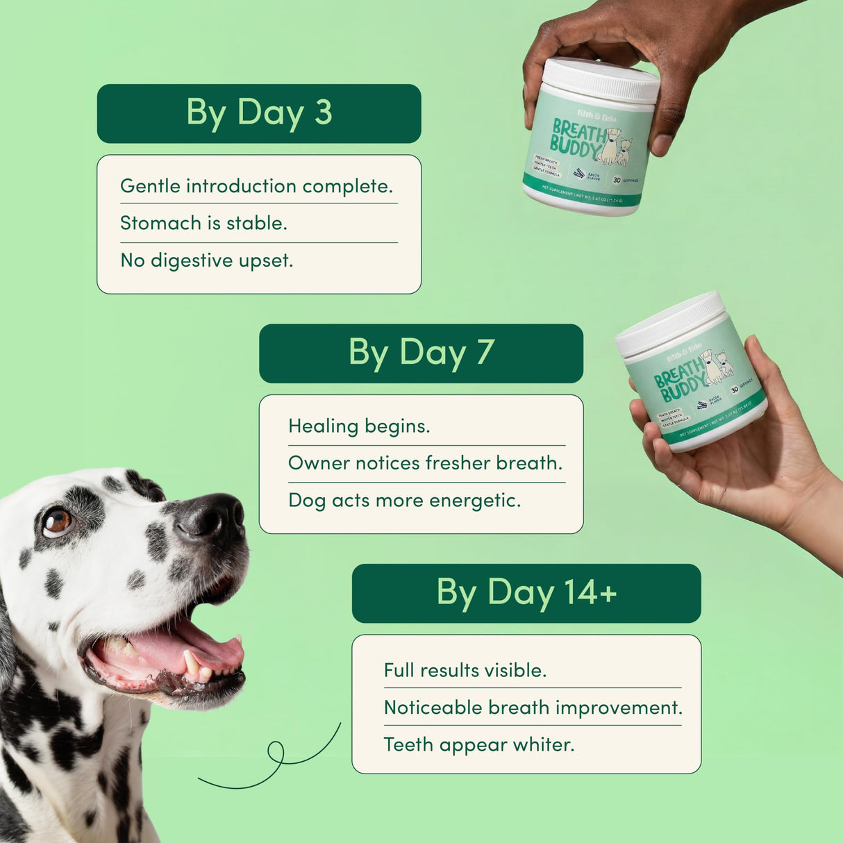 Fifth & Fido Breath Buddy Dog Dental Powder for Fresher Breath & Cleaner Teeth, Cat & Dog Teeth Cleaning Powder, Removes Plaque, Gentle Formula for Sensitive Stomachs, Natural Ingredients, USA Made