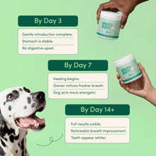 Load image into Gallery viewer, Fifth & Fido Breath Buddy Dog Dental Powder for Fresher Breath & Cleaner Teeth, Cat & Dog Teeth Cleaning Powder, Removes Plaque, Gentle Formula for Sensitive Stomachs, Natural Ingredients, USA Made