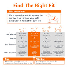 Load image into Gallery viewer, Amazon Basics Absorbent, Leakproof Male Dog Wrap Disposable Diapers, Small, Pack of 50, White