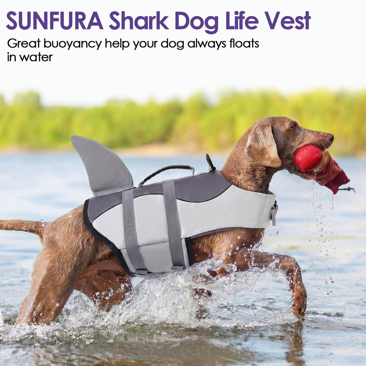 Bess Bridal Dog Life Jacket - Shark Life Vest for Swimming Boating - Reflective Lifejacket Swimsuit for Small Medium Large Dogs - High Buoyancy Lifesaver Preserver with Rescue Handle, Grey Shark XL