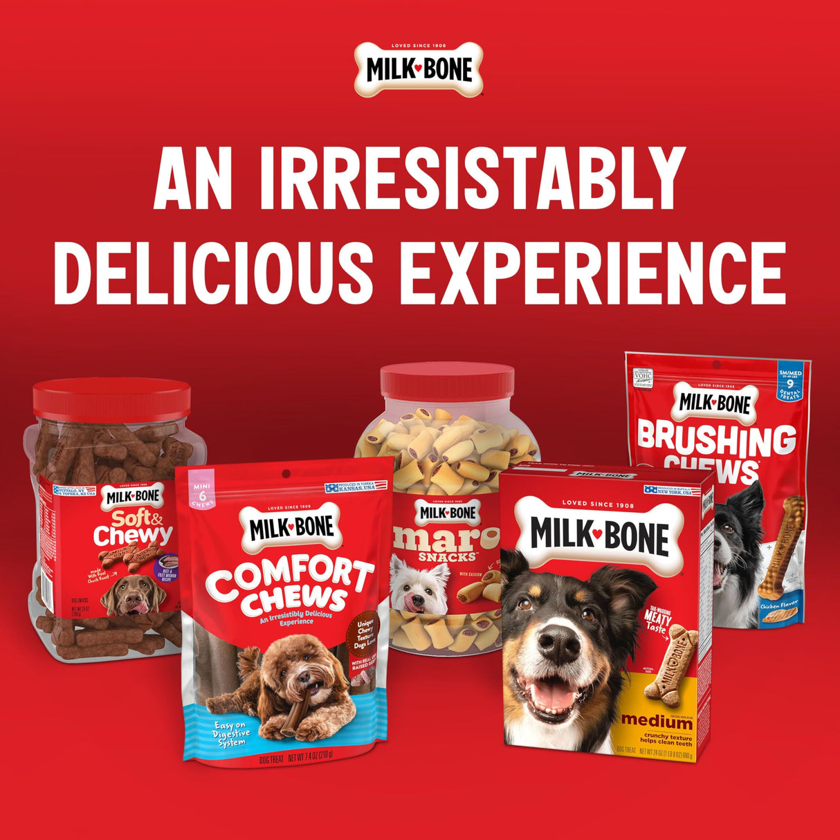 Milk-Bone Mini’s Original Biscuits, Mini Dog Treats, 15 Oz. Boxes (Pack of 6)