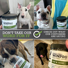 Load image into Gallery viewer, WINPRO Hip & Joint Supplement for Dogs - Plasma Powered Soft Chews for Joint Health & Mobility – Fast-Acting with Collagen & Natural Ingredients for Dogs of All Breeds – 60 Chews