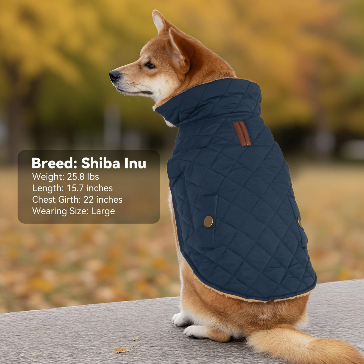 Vitiswap Dog Winter Coat, Warm Dog Jacket Windproof Waterproof Pet Cold Weather Coats for Small Dogs, Turtleneck Fleece Lined Dogs Clothes with Leash Hole, Navy Medium