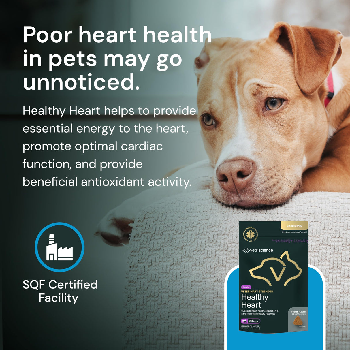 VETRISCIENCE Veterinary Strength Healthy Heart Chews - Heart & Energy Supplement for Pets - Cardiovascular Supplement - Pet Blood Flow Support - Chicken Flavor - 60 Count