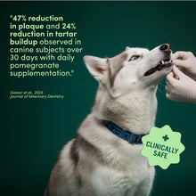 Load image into Gallery viewer, Fifth & Fido Breath Buddy Dog Dental Powder for Fresher Breath & Cleaner Teeth, Cat & Dog Teeth Cleaning Powder, Removes Plaque, Gentle Formula for Sensitive Stomachs, Natural Ingredients, USA Made