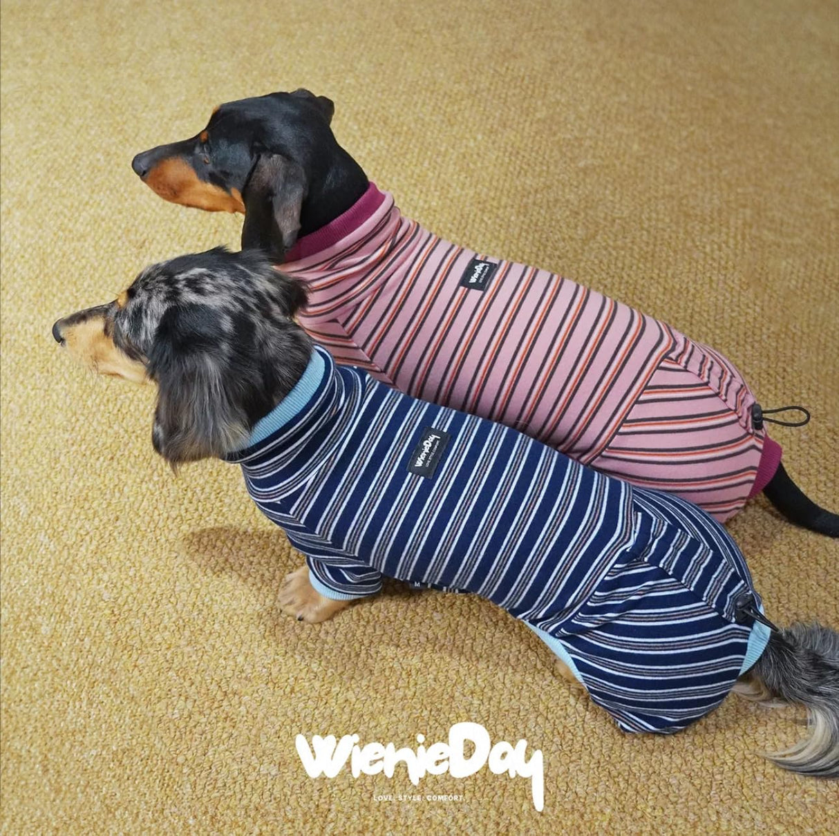 WienieDay Four-Legged Dachshund Shirt, Striped Thermal Velvet Fleece, Adjustable Back Fit, Stretchy Cozy Outfit for Mini Dachshunds & Small/Medium Dogs (Pink, Small(7-11lbs))