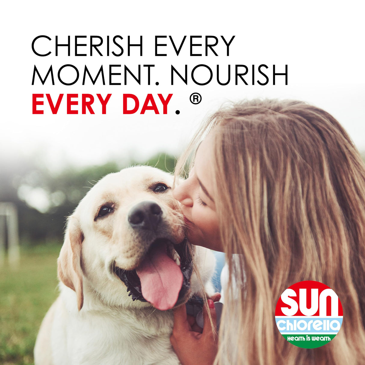 Sun Chlorella Sun Pet Treats Green Superfood Cat & Dog Supplement - Chlorophyll Eleuthero & Lecithin, Minerals, Antioxidants & Vitamins for Dogs & Cats - Immune Defense, Skin & Gut Health - 120 Bites