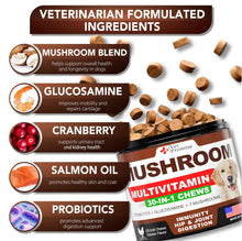 Load image into Gallery viewer, Turkey Tail Mushroom for Dogs - 170 Chews - Mushroom Supplement for Dogs - Lions Mane - Reishi - Immunity Support Multivitamin Vitamins - Joint Health - Energy - Gut - Skin - Made in USA