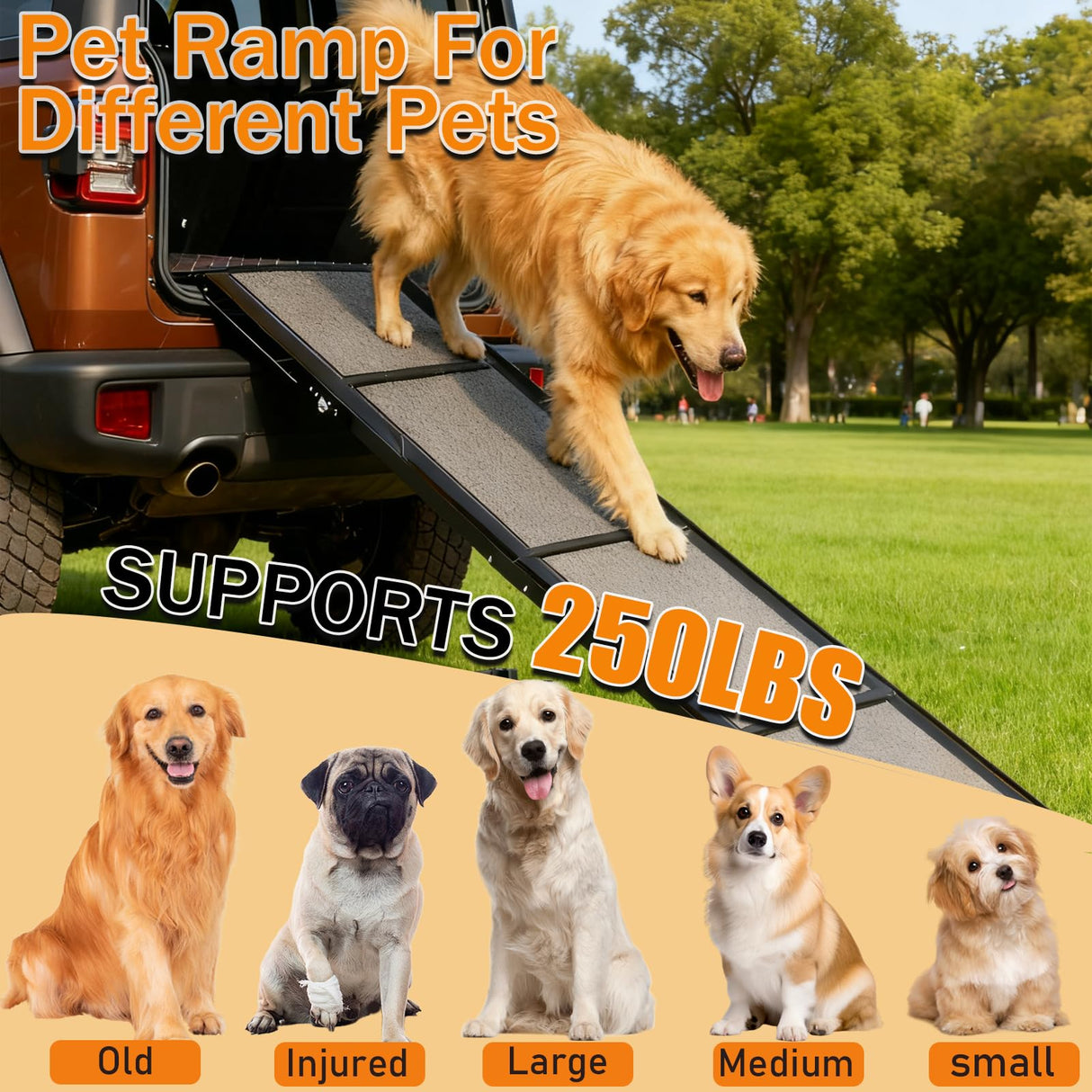 63" Long &17" Wide Heavy Duty & Portable Dog Ramp, Folding Pet Ramp for Large Dogs up to 250LBS, Non-Slip Car Ramp for SUV, Truck Easy Loading