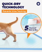 Load image into Gallery viewer, Powools Puppy Pads - Super Absorbent & Spill-Proof Pee Pads for Dogs with 6-Layer Material, Quick-Dry & Hassle-Free Potty Pads for Floors, Furniture, Vehicle, 22" × 22", 100 Packs