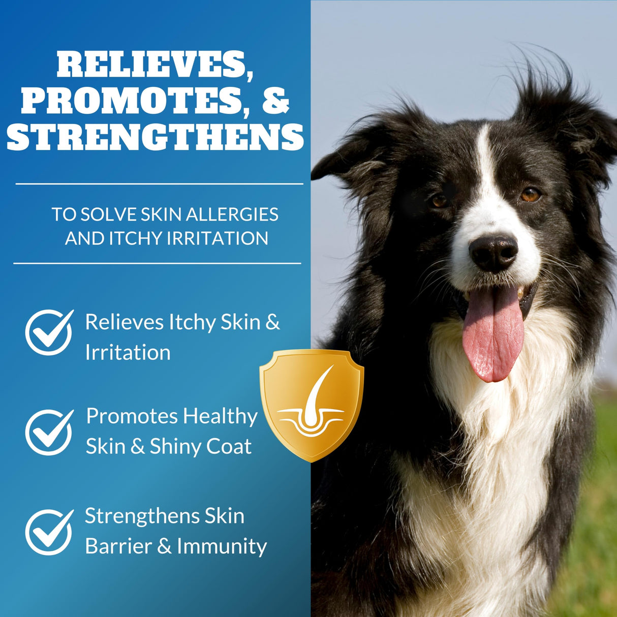 Dog Allergy Itch Relief Chews Supplement – Itchy Skin, Hot Spot & Dry Skin Support for Paw Licking, Anti-Itch Allergy Chews with Fish Oil, Colostrum & Probiotics – 120 Ct