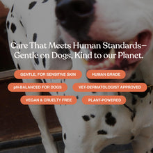 Load image into Gallery viewer, Dandylion Soft Paws Lotion with Brush | Dog Paw Balm & Paw Butter | Hydrating, Vet-Approved, Lick-Safe, Fragrance-Free | pH-Balanced for Itchy, Dry, Cracked Dog Paws | 0.6 fl oz