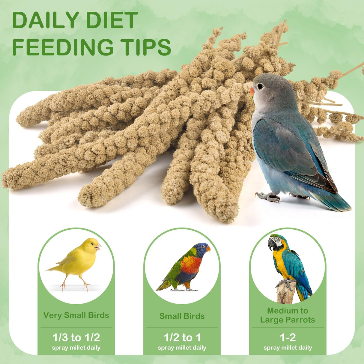 ERKOON 1.5LB Spray Millet Treat, All Natural Sun-Dried Healthy Treat Parrot Food Bird Snack for Parakeets, Lovebirds, Cockatiels, Finches, Budgies, Canaries Hamster, Bird Food Bulk