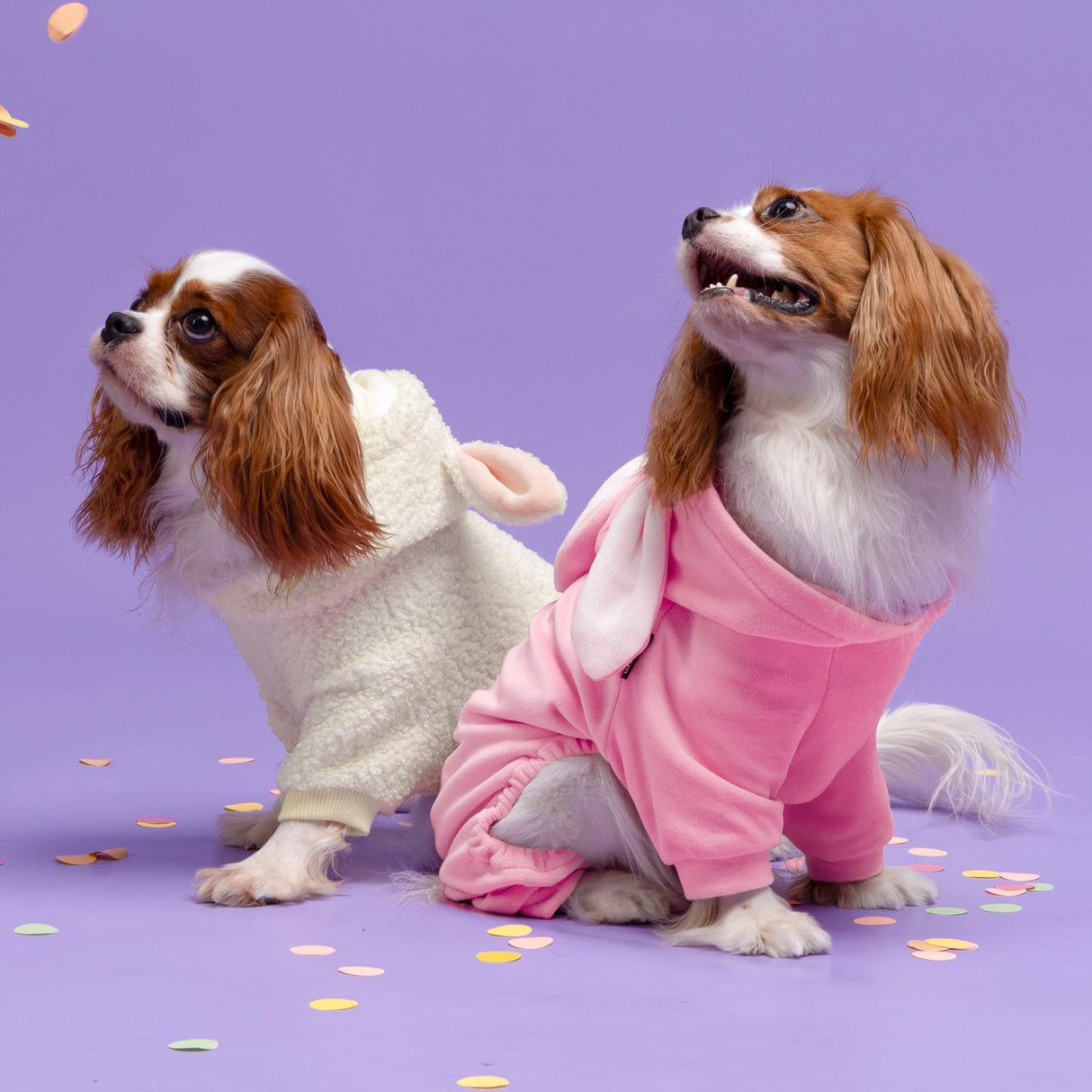 Fitwarm Halloween Sheep Dog Costumes, Funny Clothes for Small Dogs Boy Girl, Pet Apparel, White, Pink, Medium
