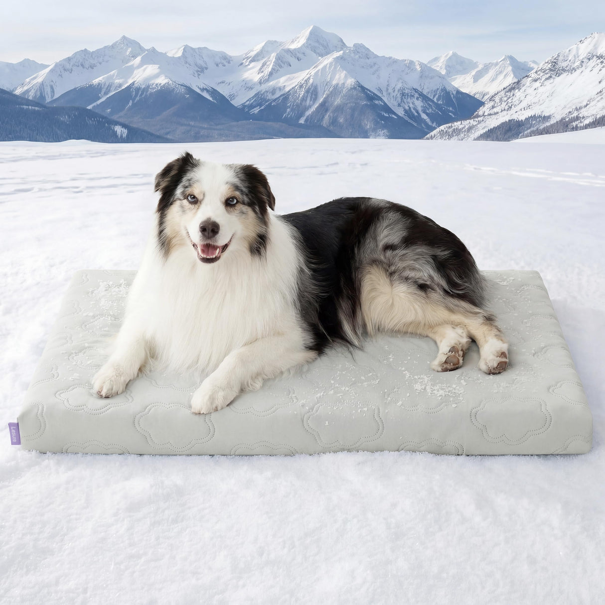 LE SURE Orthopedic Cooling Dog Bed, XL Q-Max>0.5 Cooling Mat with Removable Washable Cover, Breathable Egg Crate Foam Non-Slip Summer Pad for Extra Large Active/Senior/Long-Haired Pets, 41x27 Inch