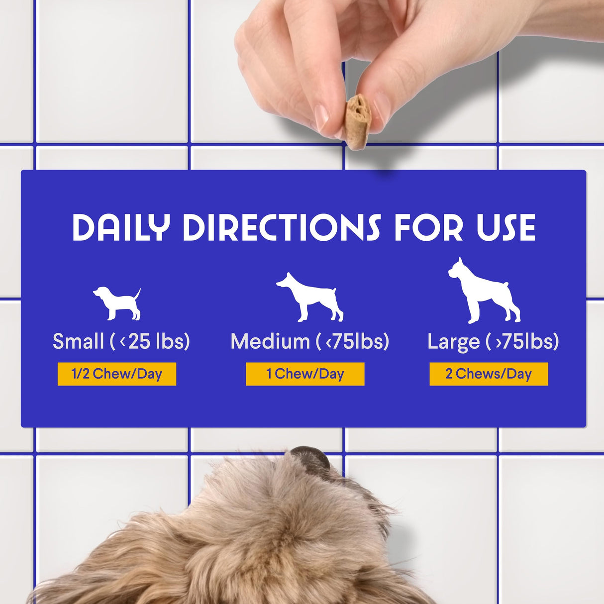 WONDER PAWS Premium Multivitamin for Dogs Daily Multi for Immune, Mood, Joint, Skin, Heart & Digestive Health - 21 in 1 Dog Multivitamins for Optimal Health Essential - 60 Multivitamin Dog Chews