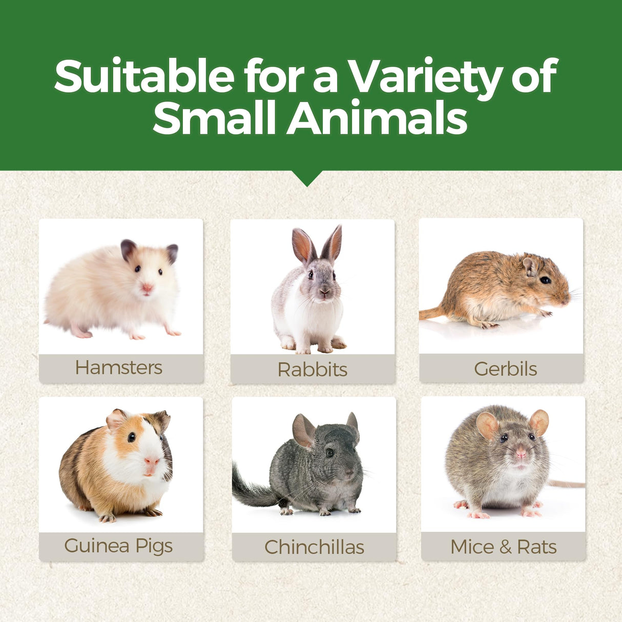 TEEWY Guinea Pig Chew Toys, Prevent Teeth Overgrowth, Natural Timothy Grass & Vegetables, Hamster Chew Toys, Guinea Pig Toys, Chinchilla Toys, 4PCS, Grass Patch & Mushrooms