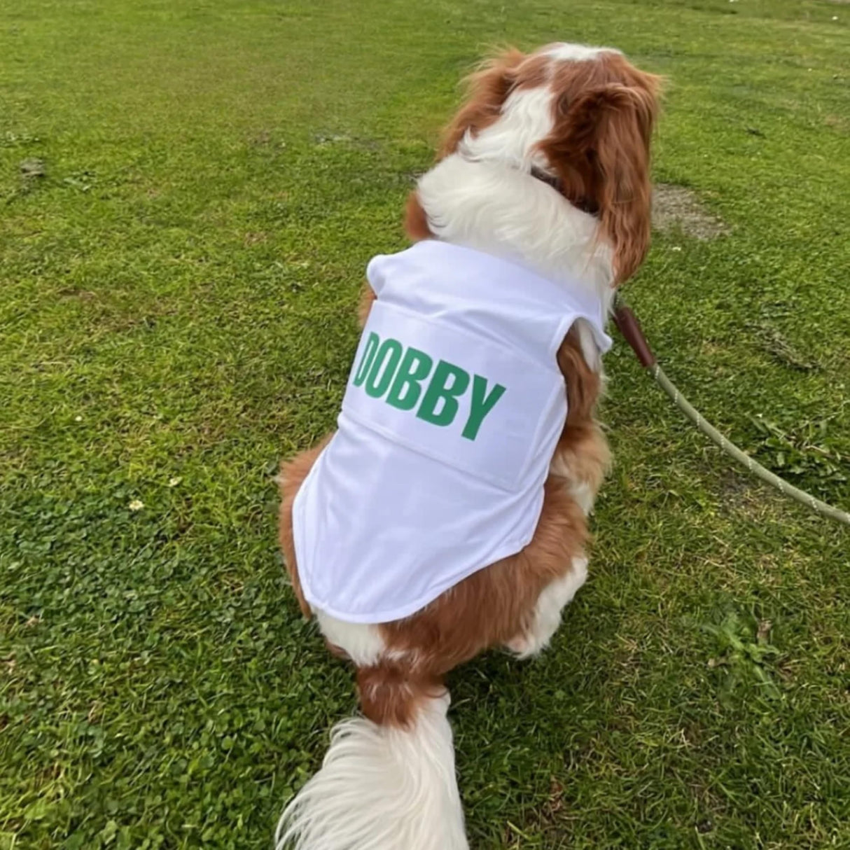 Golf Caddie Bib for Dogs (White) - Personalized Golf Caddy Bib