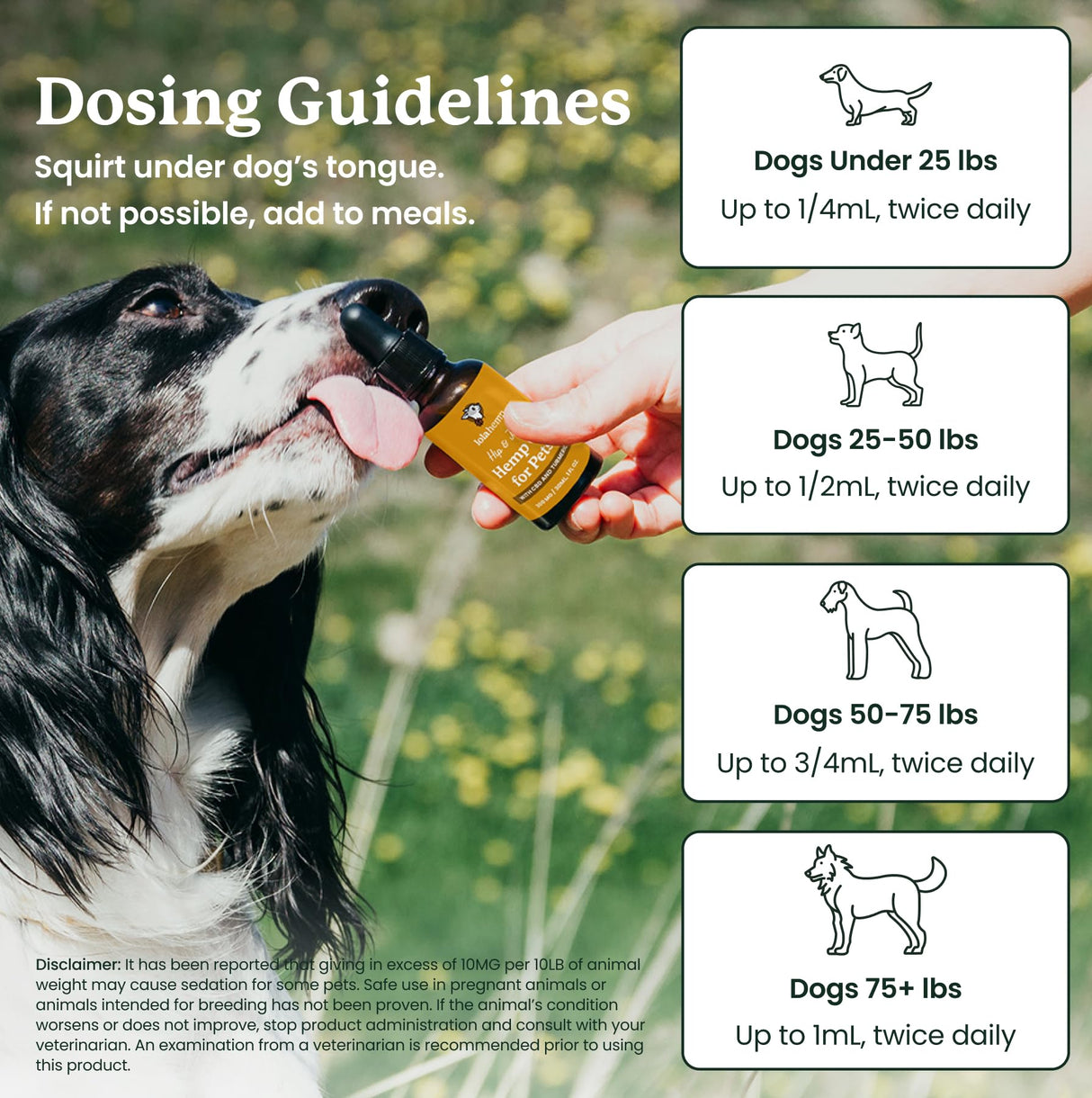 Lolahemp Hip & Joint Hemp Oil for Dogs – Mobility Support with Organic Hemp & Turmeric – Mobility, Comfort & Longevity