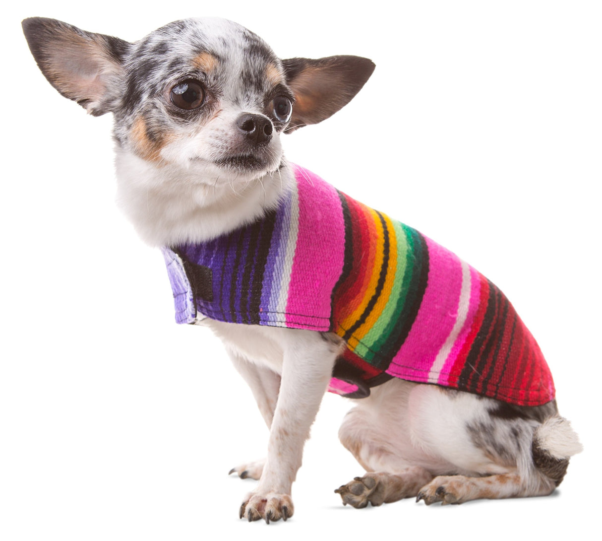 Dog Clothes - Handmade Dog Poncho from Authentic Mexican Blanket (Pink, X-Small)
