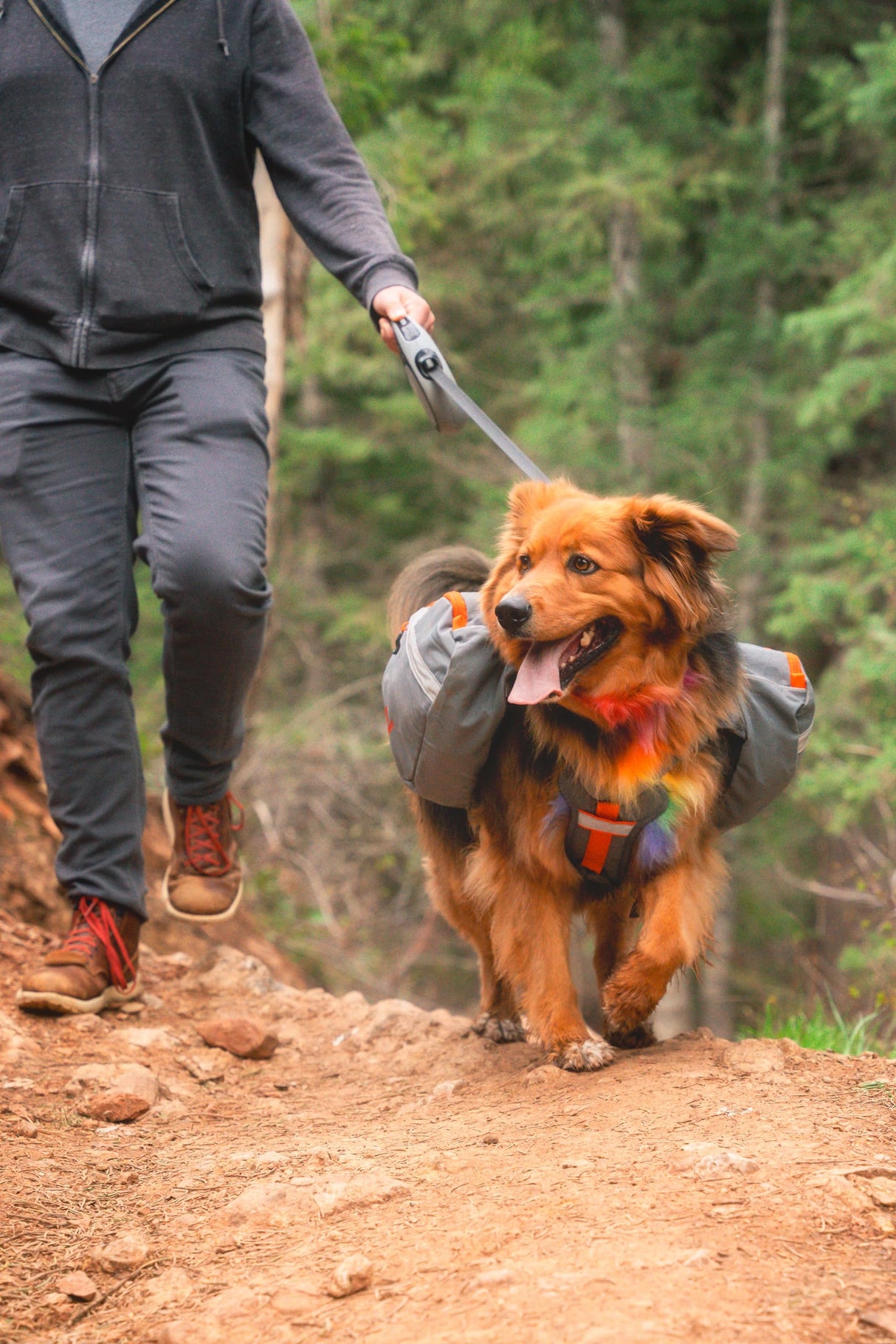 Mountainsmith K9 Dog Pack, Adjustable Chest and Back Harness Canine Backpack, Saddle Bags with Zippered Pockets for Camping, Travel, Outdoors, Backpacking, Hiking, Lava Red, Small