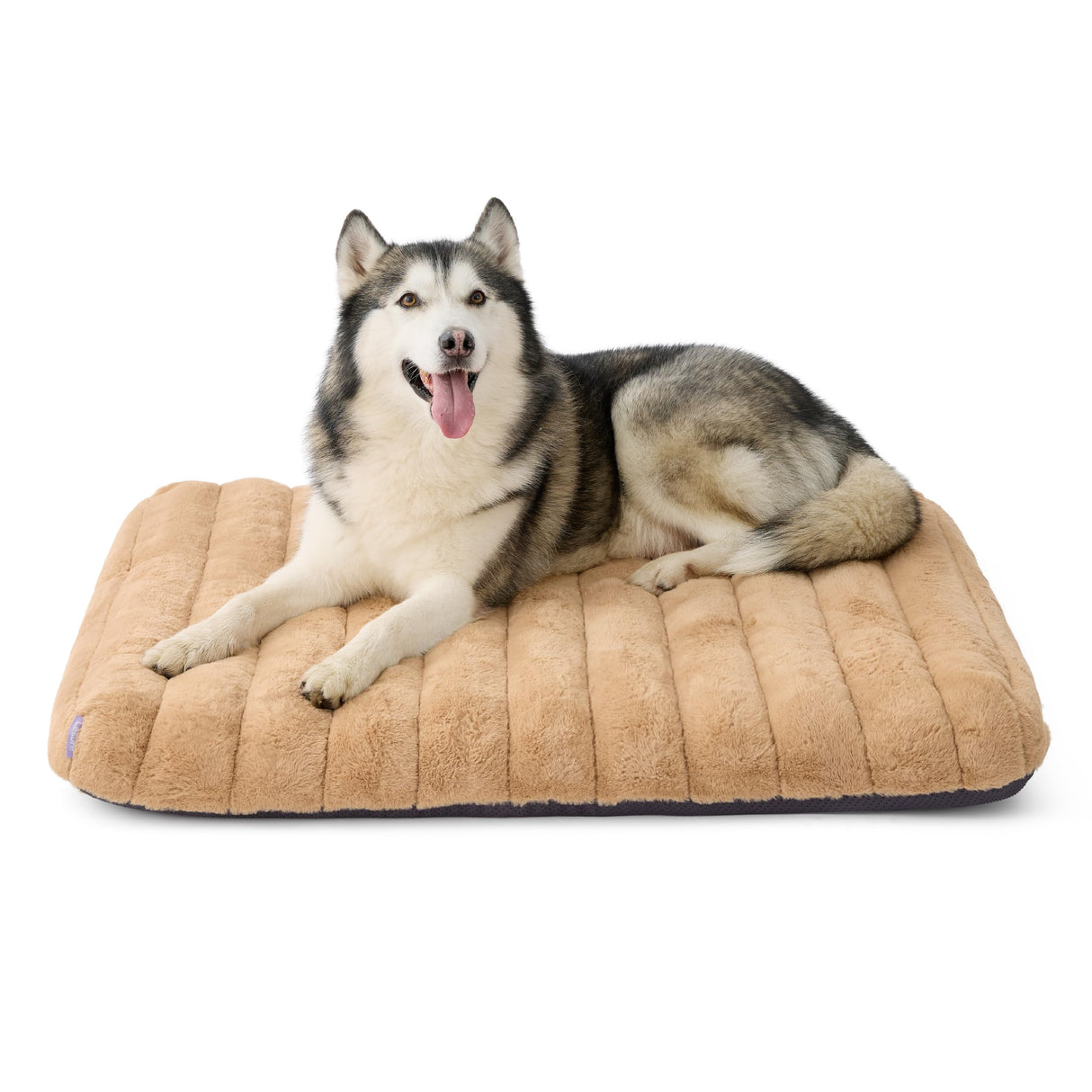 LE SURE Cute Orthopedic Dog Bed for Extra Large Dogs, XL Waterproof Chic Flat Pet Beds with Removable Washable Cover, Fuzzy Thick Egg Crate Foam Pet Mat for Indoor Use (44" x 32", Beige)