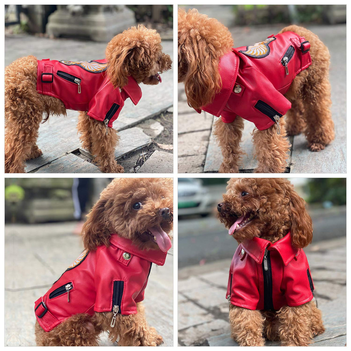 Lovelonglong Cool Dog Leather Jacket, Warm Coats Dogs Windproof Cold Weather Coats for Large Medium Small Dogs with Eagle Embroidery Red XL