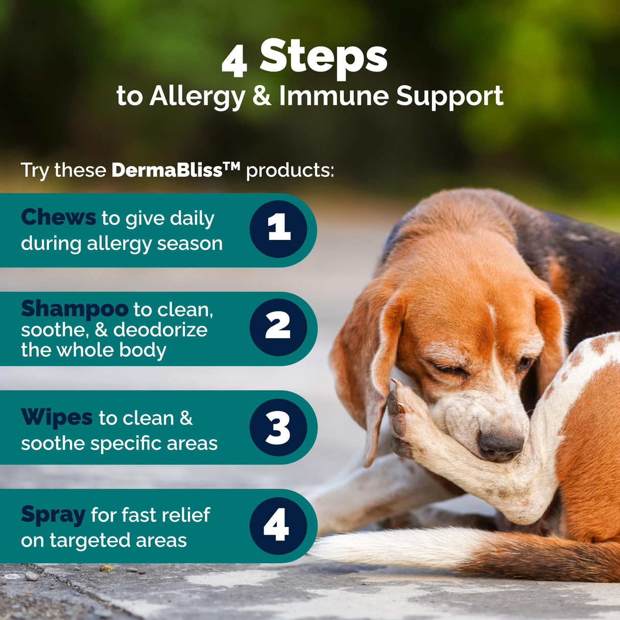 Vetnique Dermabliss Anti Itch Spray for Dogs & Cats with Hydrocortisone for Allergies and Immediate Dog Itching Skin Relief - Fragrance Free with Soothing Oat Extract (8oz)