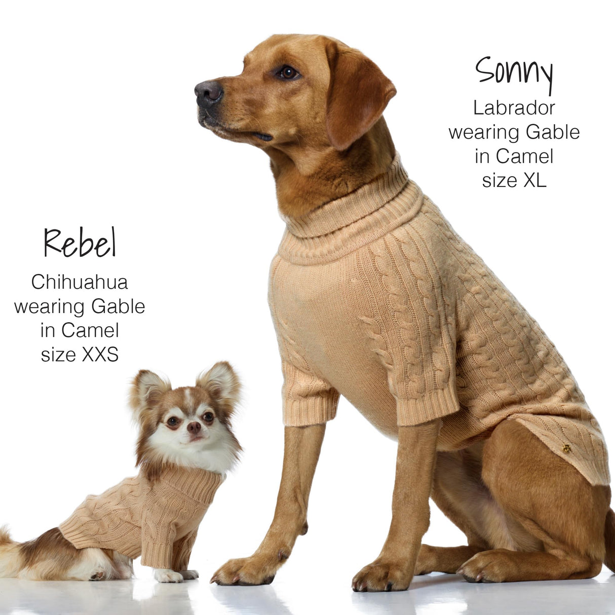 Gable – The Cable Knit Sweater Cashmere Wool Pet Pullover for Small, Medium and Large Dogs, Camel, XX-Small