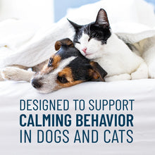 Load image into Gallery viewer, Nutramax Solliquin Calming Behavioral Health Supplement for Small to Medium Dogs and Cats - With L-Theanine, Magnolia / Phellodendron, and Whey Protein Concentrate, 75 Soft Chews