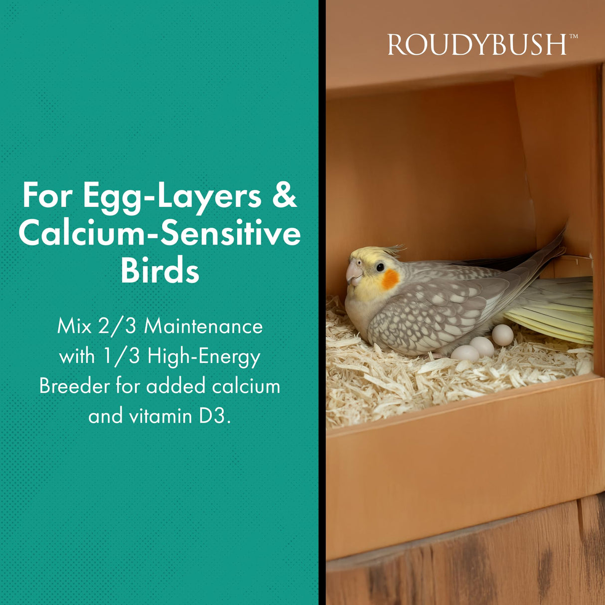RoudyBush California Blend Bird Food, Mini, 10-Pound (210MICB), B113
