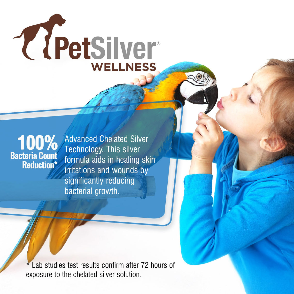 PetSilver Chicken Wound Spray for Chickens & Birds - Patented Silver Solution - Silver Spray for Wounds, Pecking Sores, Bumblefoot, Cuts, Burns, & Skin Irritations - Chicken Care - USA Made - 12 fl oz
